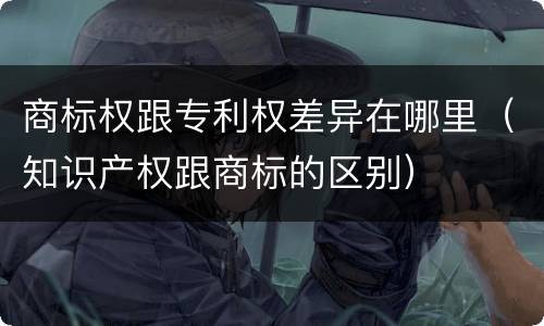 商标权跟专利权差异在哪里（知识产权跟商标的区别）