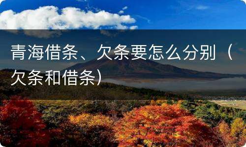 青海借条、欠条要怎么分别（欠条和借条）