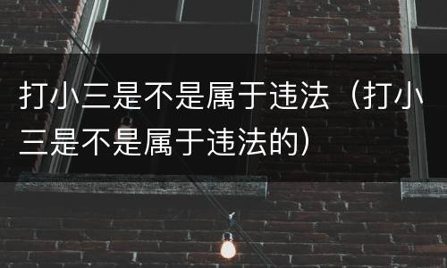 打小三是不是属于违法（打小三是不是属于违法的）