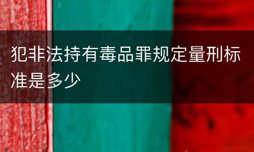 犯非法持有毒品罪规定量刑标准是多少