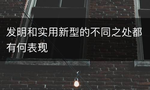 发明和实用新型的不同之处都有何表现