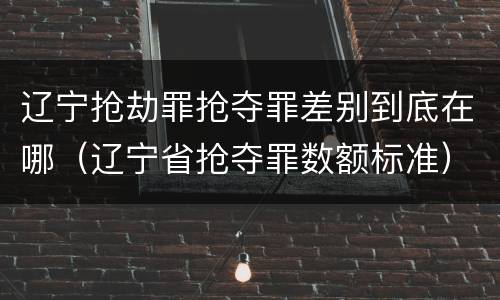 辽宁抢劫罪抢夺罪差别到底在哪（辽宁省抢夺罪数额标准）