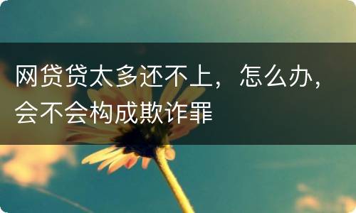 网贷贷太多还不上，怎么办，会不会构成欺诈罪