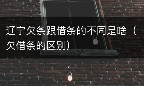 辽宁欠条跟借条的不同是啥（欠借条的区别）