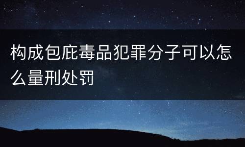 构成包庇毒品犯罪分子可以怎么量刑处罚