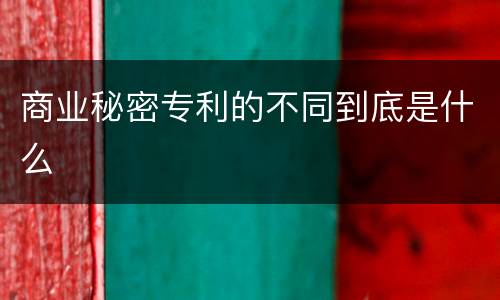 商业秘密专利的不同到底是什么