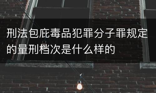 刑法包庇毒品犯罪分子罪规定的量刑档次是什么样的