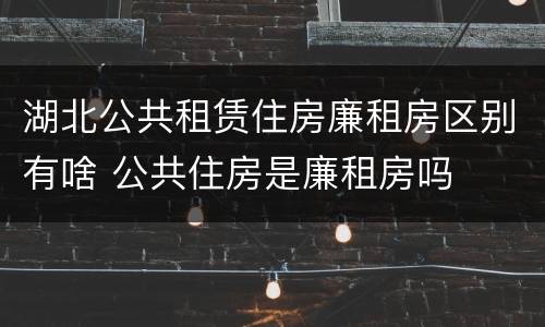 湖北公共租赁住房廉租房区别有啥 公共住房是廉租房吗