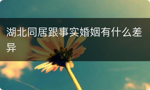 湖北同居跟事实婚姻有什么差异