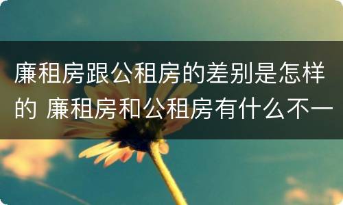 廉租房跟公租房的差别是怎样的 廉租房和公租房有什么不一样