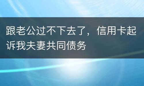 跟老公过不下去了，信用卡起诉我夫妻共同债务