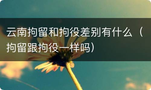 云南拘留和拘役差别有什么（拘留跟拘役一样吗）