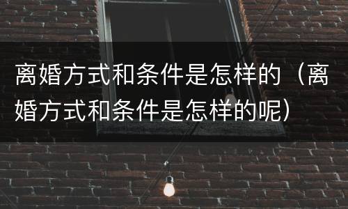 离婚方式和条件是怎样的（离婚方式和条件是怎样的呢）