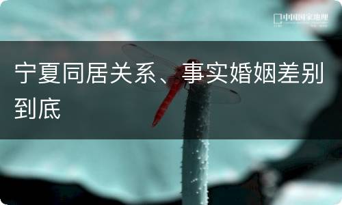宁夏同居关系、事实婚姻差别到底