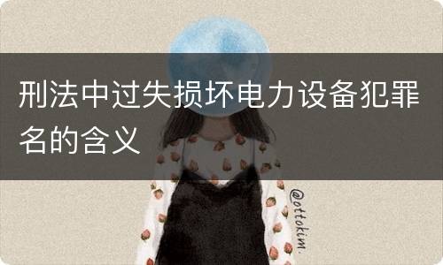 刑法中过失损坏电力设备犯罪名的含义
