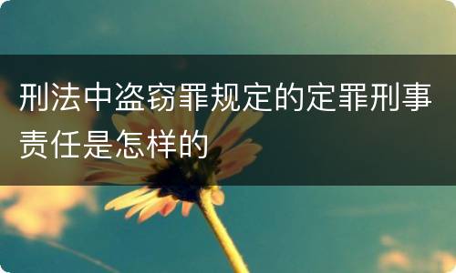 刑法中盗窃罪规定的定罪刑事责任是怎样的