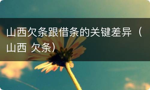 山西欠条跟借条的关键差异（山西 欠条）