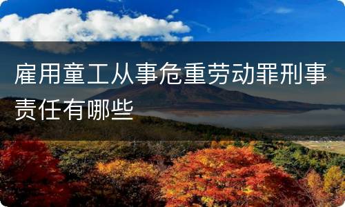雇用童工从事危重劳动罪刑事责任有哪些