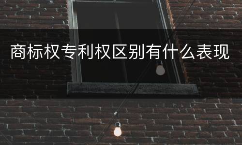 商标权专利权区别有什么表现