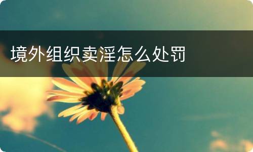 境外组织卖淫怎么处罚