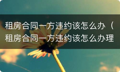 租房合同一方违约该怎么办（租房合同一方违约该怎么办理）
