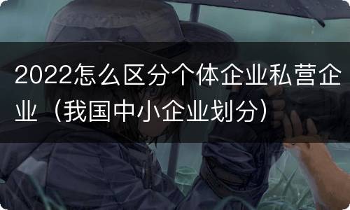 2022怎么区分个体企业私营企业（我国中小企业划分）