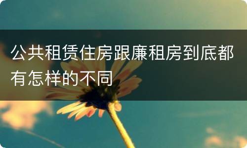 公共租赁住房跟廉租房到底都有怎样的不同