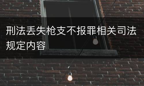 刑法丢失枪支不报罪相关司法规定内容