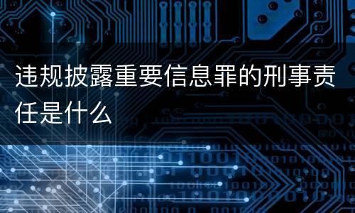 违规披露重要信息罪的刑事责任是什么