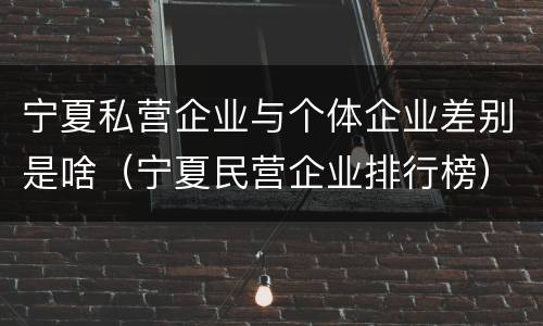 宁夏私营企业与个体企业差别是啥（宁夏民营企业排行榜）