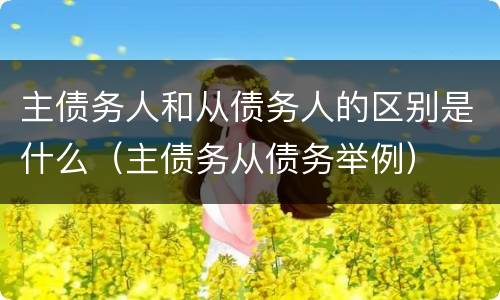 主债务人和从债务人的区别是什么（主债务从债务举例）
