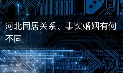 河北同居关系、事实婚姻有何不同