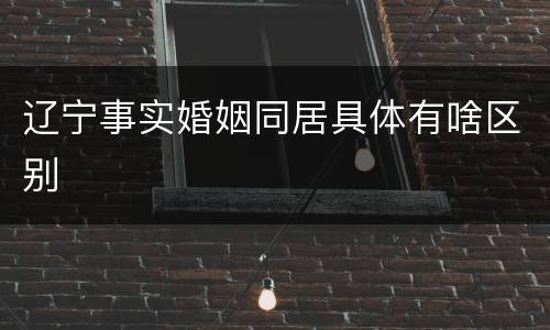 辽宁事实婚姻同居具体有啥区别