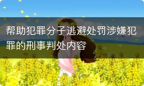 帮助犯罪分子逃避处罚涉嫌犯罪的刑事判处内容