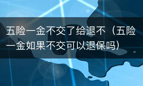 五险一金不交了给退不（五险一金如果不交可以退保吗）