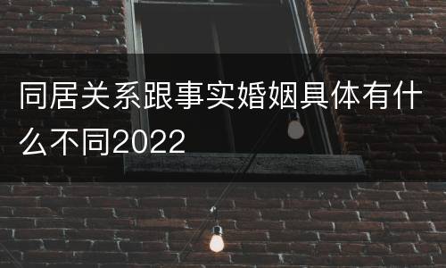同居关系跟事实婚姻具体有什么不同2022