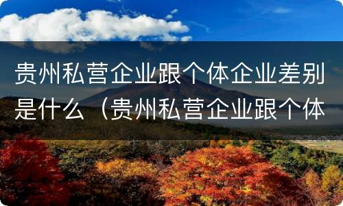 贵州私营企业跟个体企业差别是什么（贵州私营企业跟个体企业差别是什么意思）
