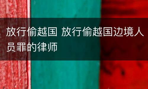 放行偷越国 放行偷越国边境人员罪的律师