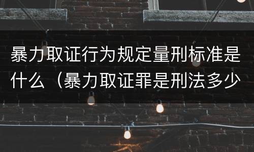 暴力取证行为规定量刑标准是什么（暴力取证罪是刑法多少条）
