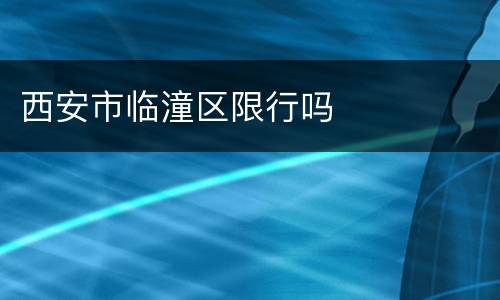 西安市临潼区限行吗
