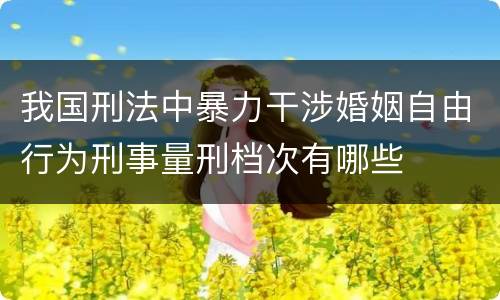 我国刑法中暴力干涉婚姻自由行为刑事量刑档次有哪些