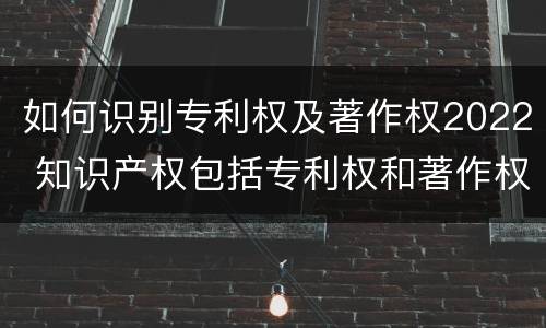 如何识别专利权及著作权2022 知识产权包括专利权和著作权吗