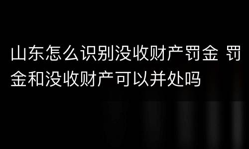 山东怎么识别没收财产罚金 罚金和没收财产可以并处吗