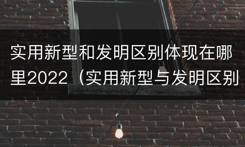 实用新型和发明区别体现在哪里2022（实用新型与发明区别）