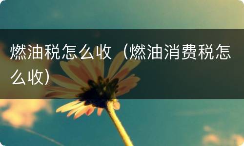 燃油税怎么收（燃油消费税怎么收）