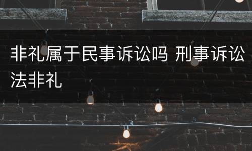 非礼属于民事诉讼吗 刑事诉讼法非礼