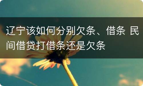 辽宁该如何分别欠条、借条 民间借贷打借条还是欠条