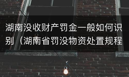 湖南没收财产罚金一般如何识别（湖南省罚没物资处置规程）