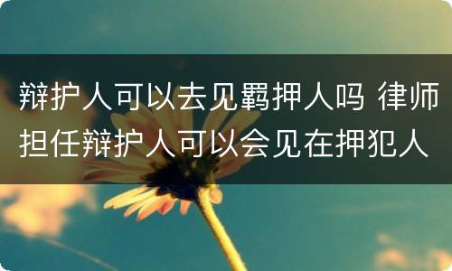 辩护人可以去见羁押人吗 律师担任辩护人可以会见在押犯人