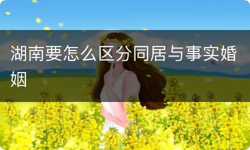 湖南要怎么区分同居与事实婚姻